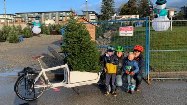 Christmas Tree Market
