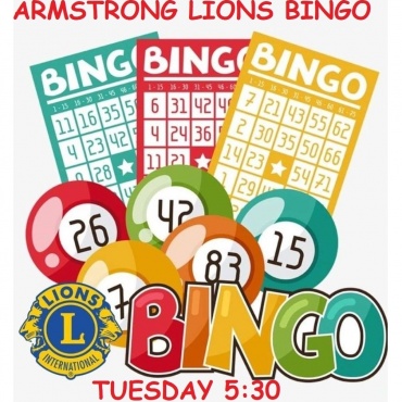Armstrong Lions Bingo